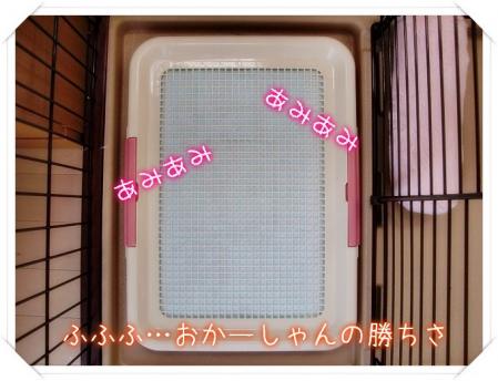 あみあみさ~