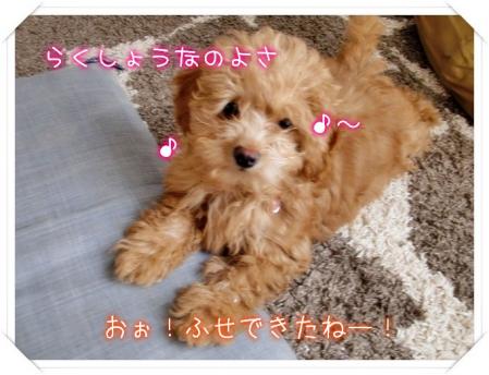 ふせやでぇ~