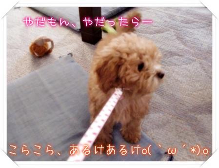 いやいやいややあああー!