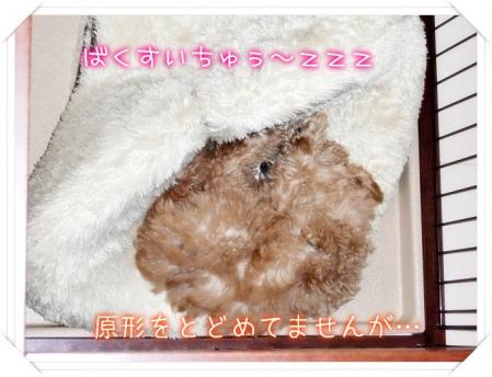 どんな寝相…