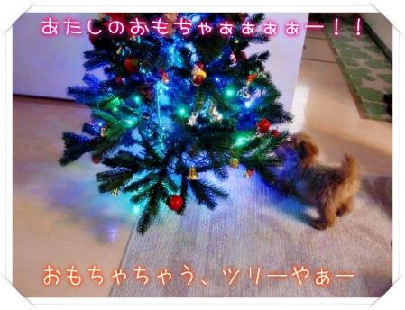 クリスマスツリー
