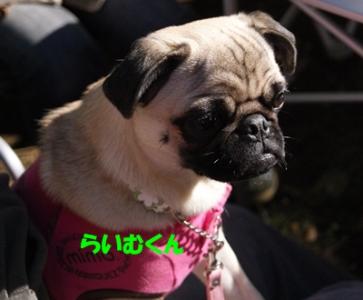 DSC00725.jpg