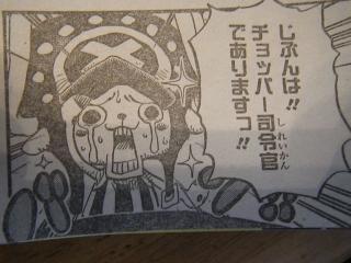 IMGP3080.jpg
