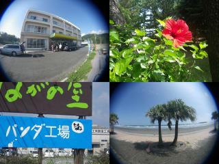 IMGP3229.jpg