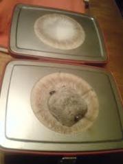 images_20111020123916.jpeg