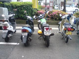 moblog_9e40a7c3.jpg