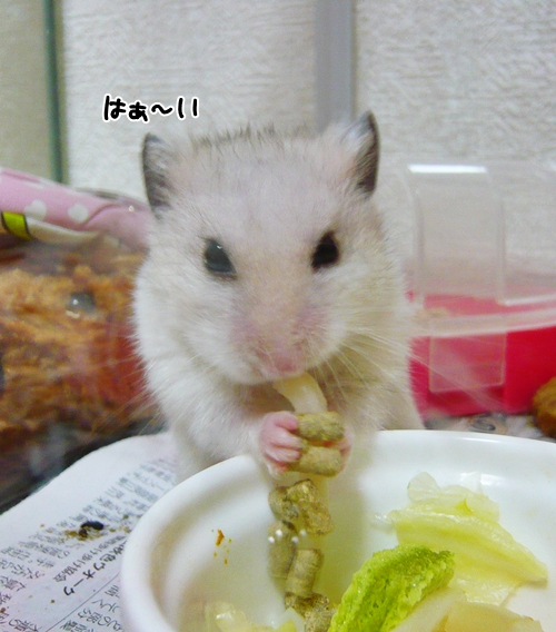 もぐもぐ