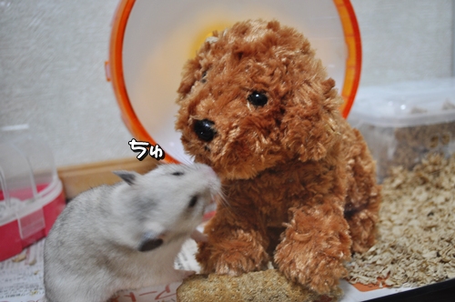 チュー