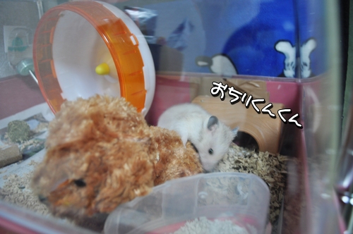 あやしいものか調べる