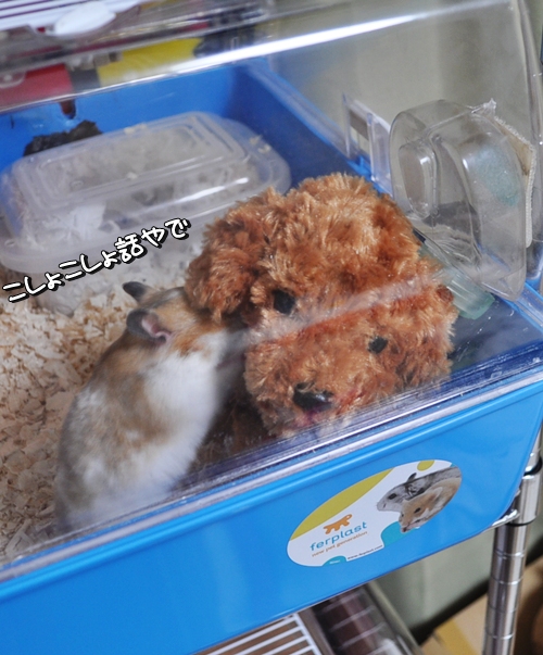 ヒミツやで