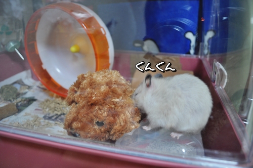 ん~