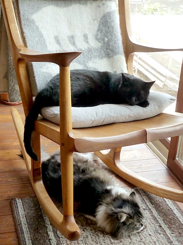 ロッキングチェアーの猫たち