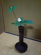 0818お茶2