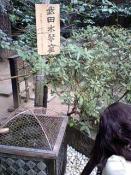 0823山梨7