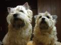 DSC01402-1n.jpg