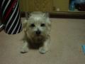 DSC01436.jpg