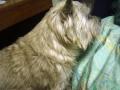 DSC01449-5.jpg