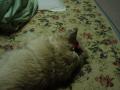 DSC01483-2.jpg