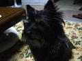 DSC01569-1.jpg