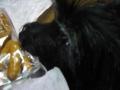 DSC01586-3.jpg