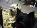 DSC01587-2.jpg