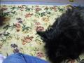 DSC01590-4.jpg