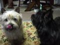 DSC01597-6.jpg