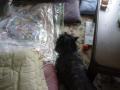 DSC01602-1.jpg
