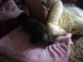 DSC01605-2.jpg