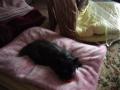DSC01608-3.jpg