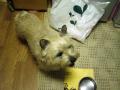 DSC01672.jpg