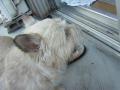 DSC01677-05.jpg