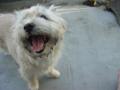 DSC01683-04.jpg