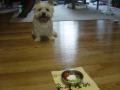 DSC01691-07.jpg