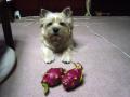 DSC01739-2.jpg