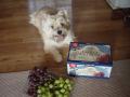 DSC01755.jpg