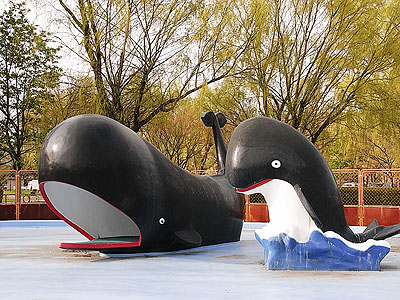 池のクジラ