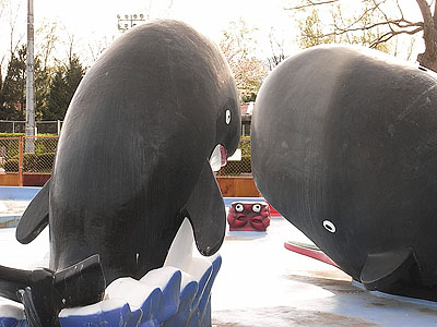 池のクジラとカニ