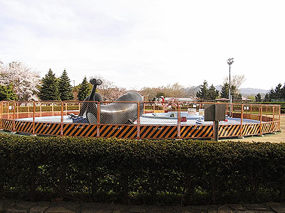 池の全体像