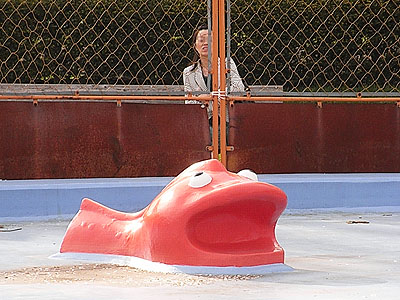 池の魚と女性