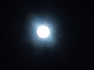 20110913Moon.jpg