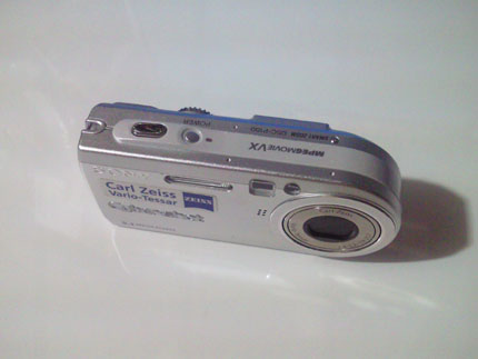 dsc-p100
