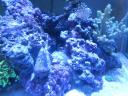 201011181.jpg