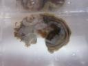 201011183.jpg