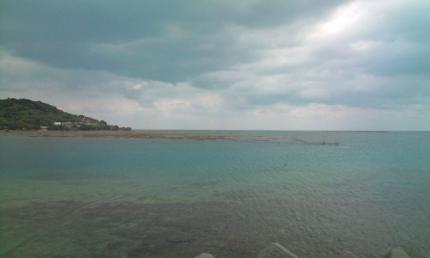 20101208130257.jpg