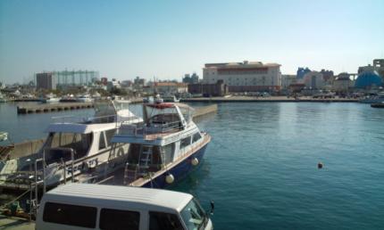 20101210105154.jpg