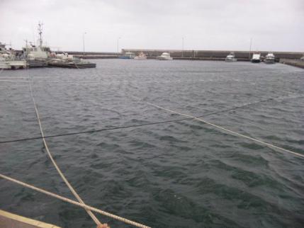 m010831.jpg