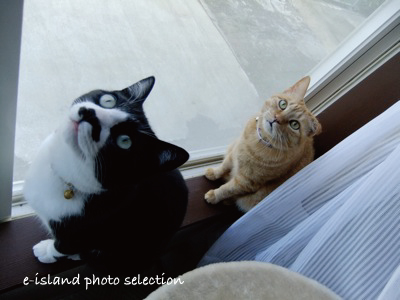 DSCF5265.jpg