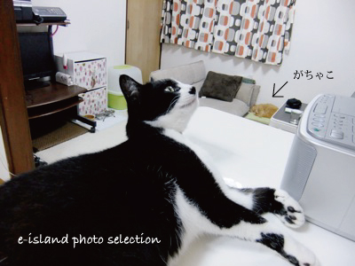 DSCF5344.jpg