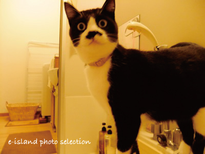 DSCF8865.jpg